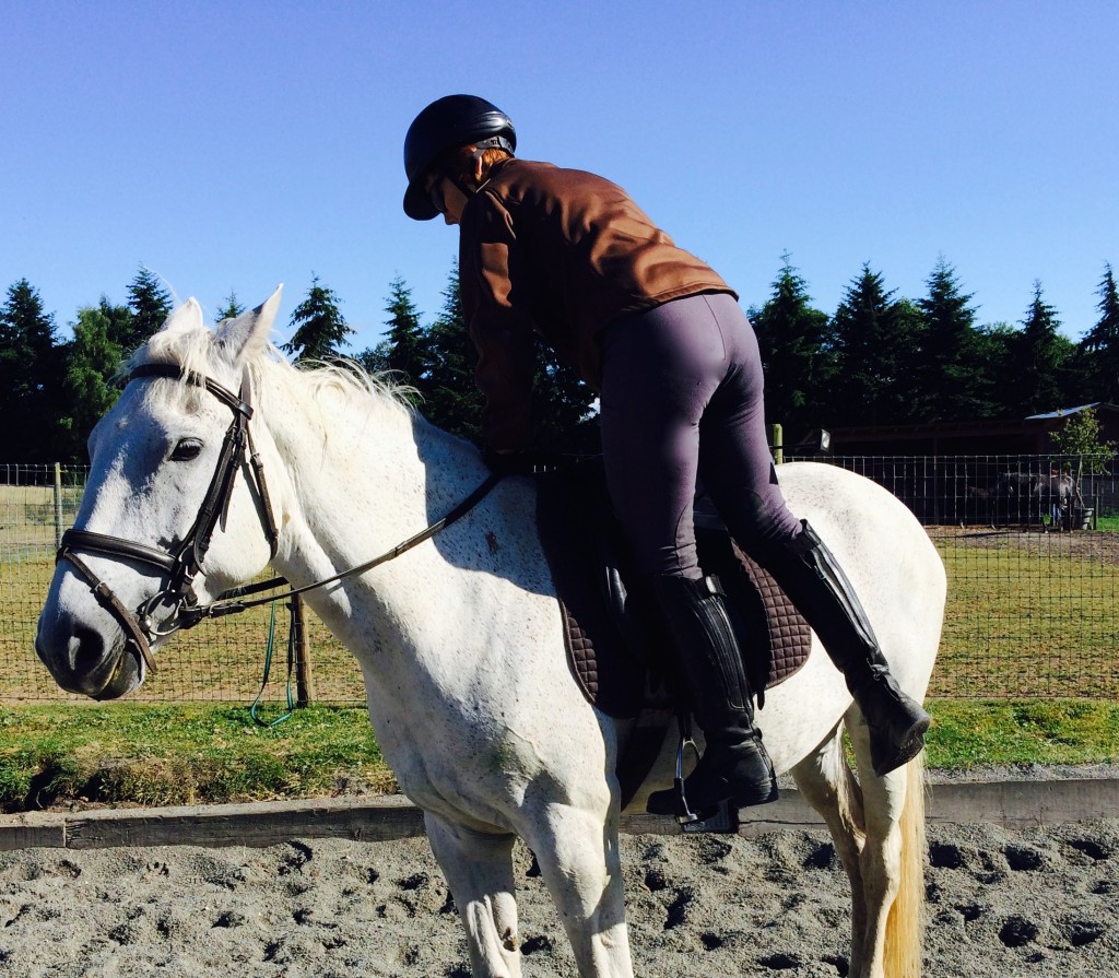 2014 - 07.17 - #13  Getting back into saddle-mounting